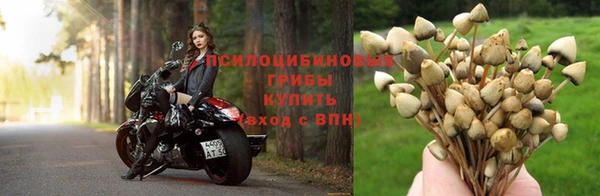 дистиллят марихуана Бородино