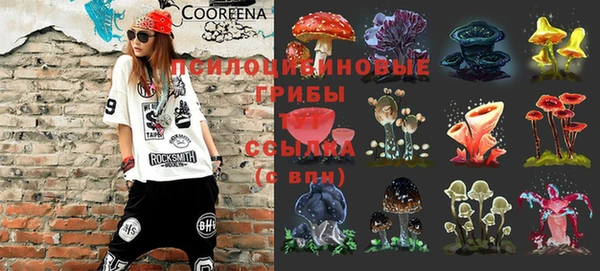 герыч Бугульма